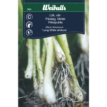 Pibeløg 'Long White Ishikura'